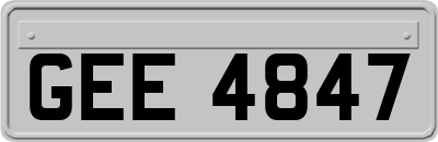 GEE4847
