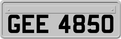 GEE4850
