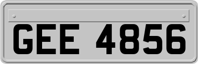 GEE4856