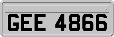 GEE4866