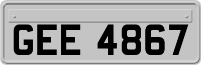 GEE4867