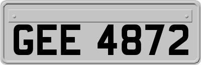 GEE4872