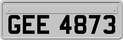 GEE4873
