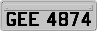 GEE4874