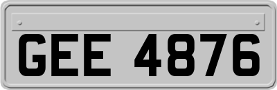 GEE4876