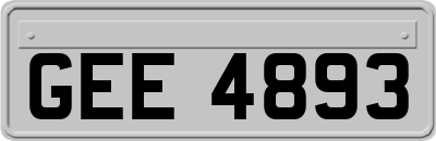 GEE4893