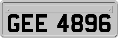 GEE4896