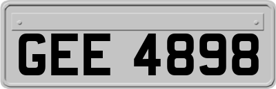 GEE4898