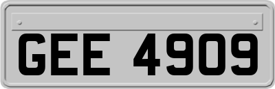GEE4909