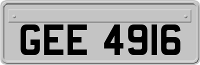 GEE4916