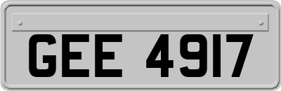 GEE4917