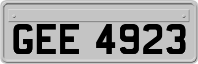 GEE4923