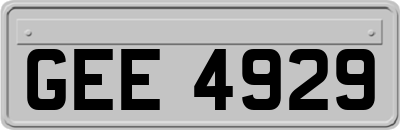 GEE4929