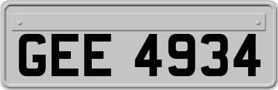 GEE4934