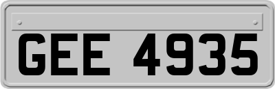 GEE4935