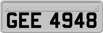 GEE4948