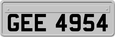 GEE4954