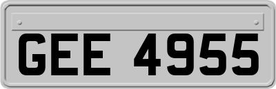 GEE4955
