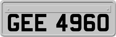 GEE4960