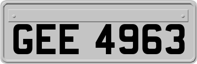GEE4963