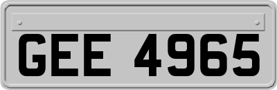 GEE4965