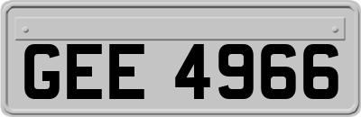 GEE4966
