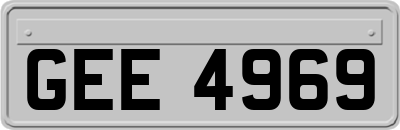 GEE4969