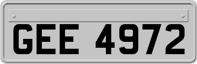 GEE4972
