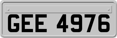 GEE4976