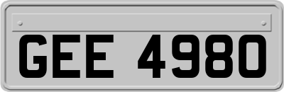 GEE4980