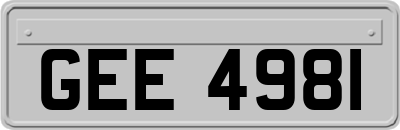 GEE4981