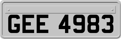 GEE4983
