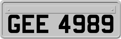 GEE4989