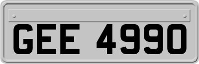 GEE4990
