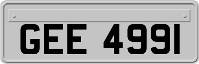 GEE4991
