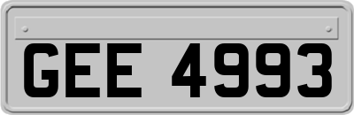 GEE4993