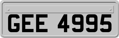 GEE4995