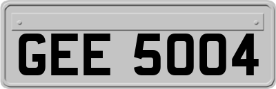 GEE5004