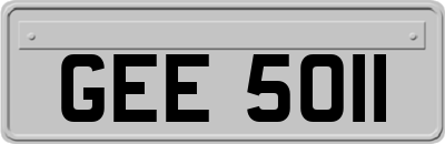 GEE5011