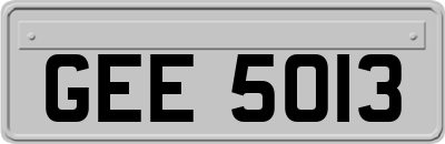 GEE5013