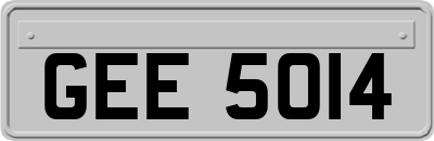 GEE5014