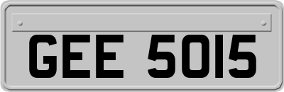 GEE5015