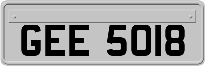 GEE5018