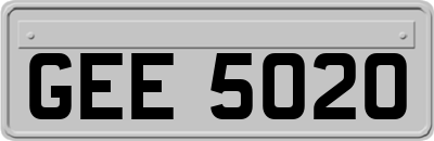 GEE5020