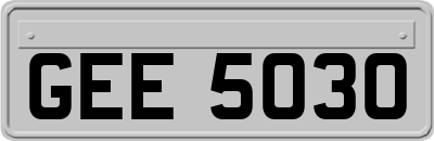 GEE5030