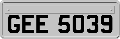 GEE5039