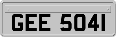 GEE5041