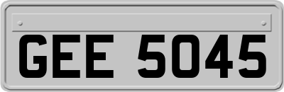 GEE5045