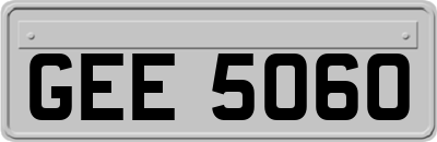 GEE5060