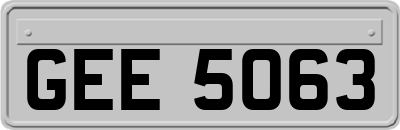 GEE5063